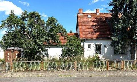 Zschornewitz Häuser, Zschornewitz Haus kaufen