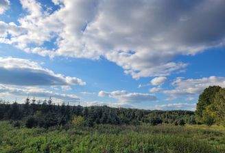 Waldfläche-Landwirtschaftsfläche