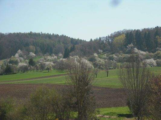Blick von den Wohnungen