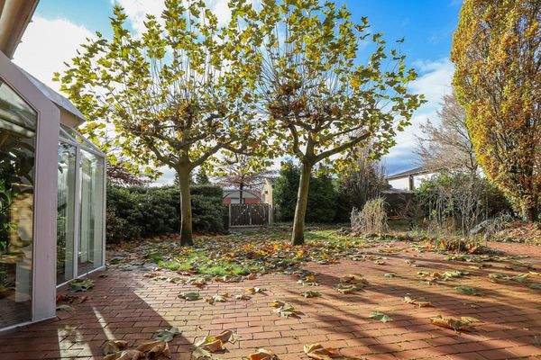 vorderer Garten mit Feuerstelle und ehem. Teich