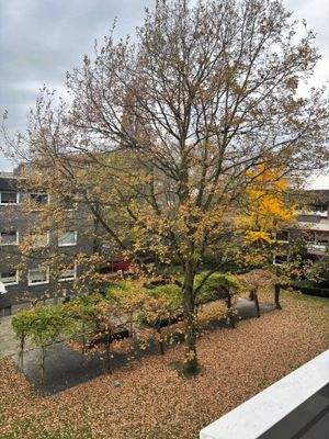 WhatsApp Image 2025-11-14 at 17.33.27