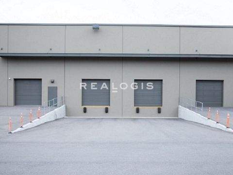 Nürnberg Halle, Nürnberg Hallenfläche