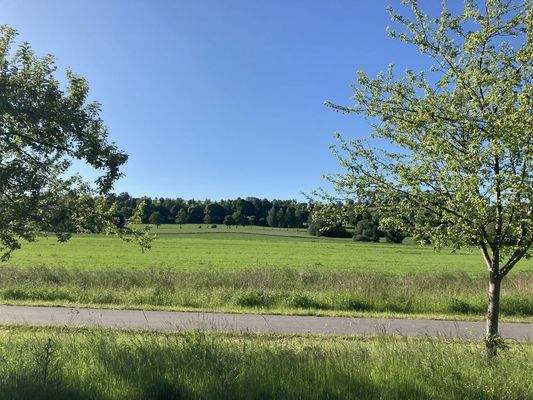 Man sieht hier in die Natur