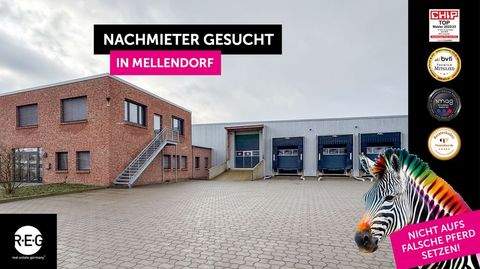 Wedemark Halle, Wedemark Hallenfläche