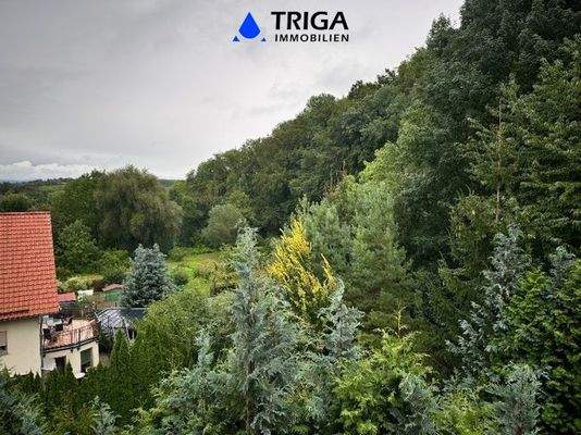 Sicht aus dem Fenster