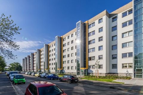 Dresden Wohnungen, Dresden Wohnung mieten