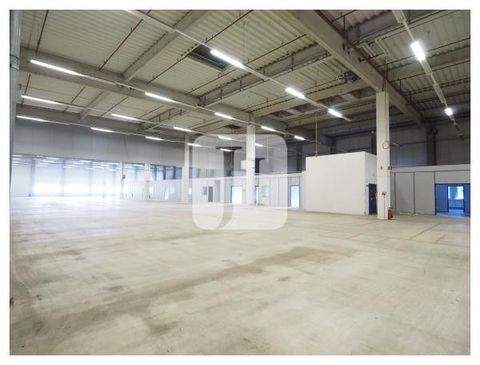 Langenhagen Halle, Langenhagen Hallenfläche