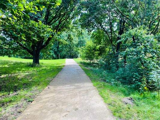 Weg zum Lankower See