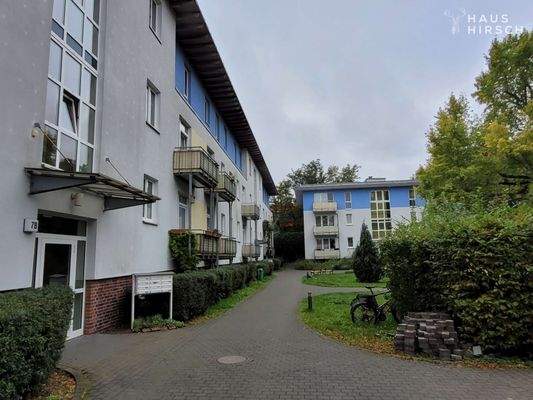 20251007_120308_resized