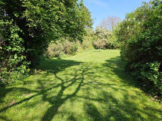 Teilansicht Grundstück