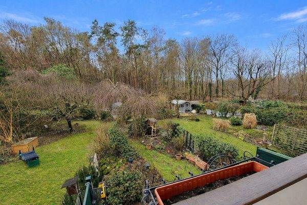 Blick in den Garten.jpg