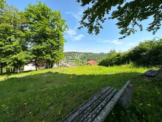 Ausblick Garten