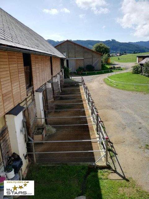 Seckau Renditeobjekte, Mehrfamilienhäuser, Geschäftshäuser, Kapitalanlage