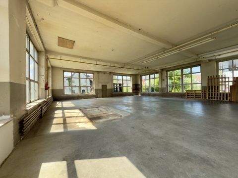 Lustenau Halle, Lustenau Hallenfläche