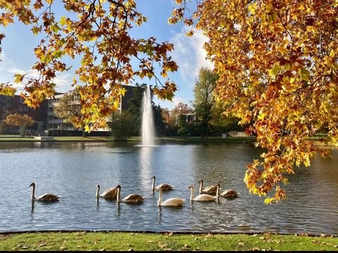 Frankfurt am Main Wohnungen, Frankfurt am Main Wohnung kaufen