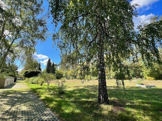 Impressionen | Garten