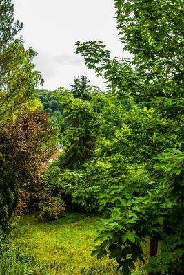 Blick vom Balkon Süd