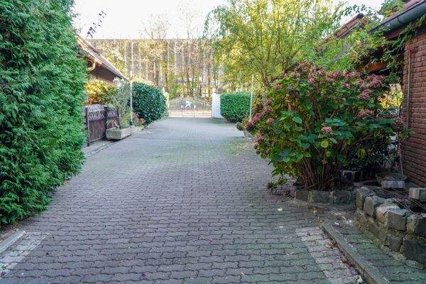 Einfahrt Carport - EFH