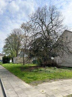 Grundstück Seitenansicht rechts