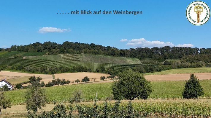 ....mit Weinberg-Blick