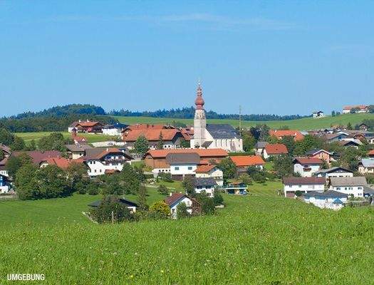 HP6-Grundstück-mit-Altbestand-Hallwang-Umgebung