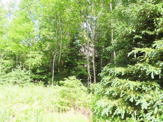 Cape Breton - Bras d`Or Lake - Preiswertes Baugrun