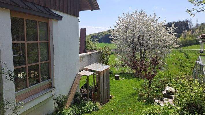 Seitlicher Blick auf Terrasse