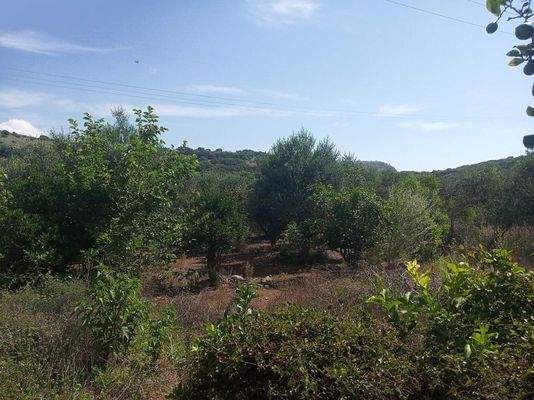 Kreta, Stilos: Landgrundstück mit Wohnhaus zu verkaufen