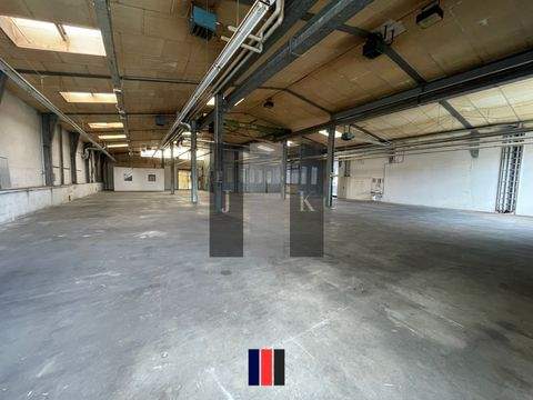 Winsen (Luhe) Halle, Winsen (Luhe) Hallenfläche