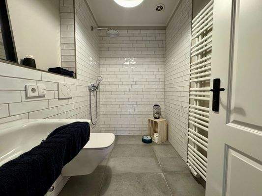 Gäste WC mit Dusche 