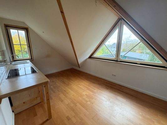 Wohnzimmer mit Einbauküche