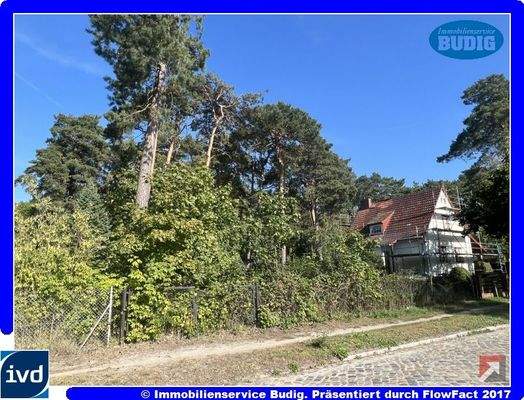 Blick von der Straße