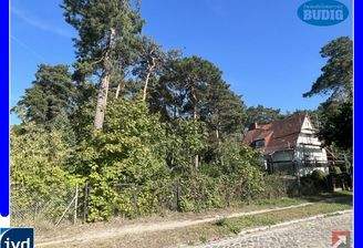 Blick von der Straße