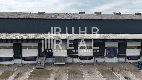 Dortmund Halle, Dortmund Hallenfläche