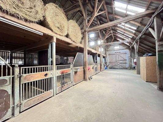 Tenne mit Pferdeboxen