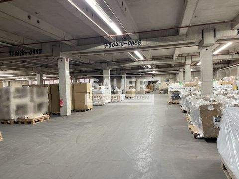 Berlin Halle, Berlin Hallenfläche