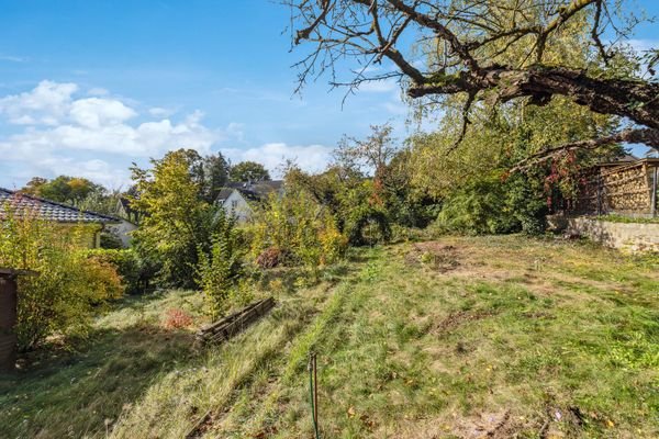 Blick nach Westen mit leichter Hanglage