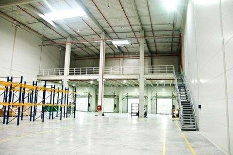 Rodgau Halle, Rodgau Hallenfläche