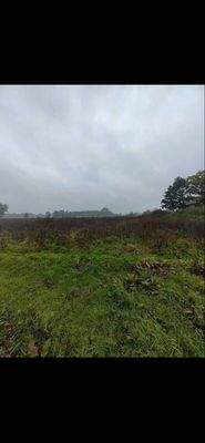 Baugrundstück Grevelau #4