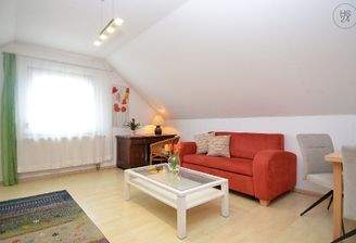 Bild1