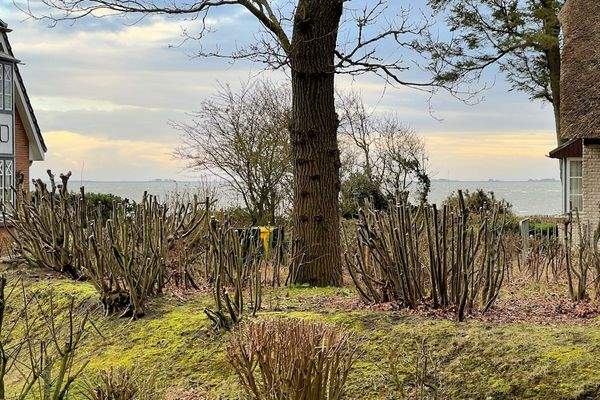 Kleiner Meerblick von der Terrasse
