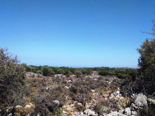 Kefalas: Abgelegenes Grundstück in Meeresnähe auf Kreta zum Verkauf