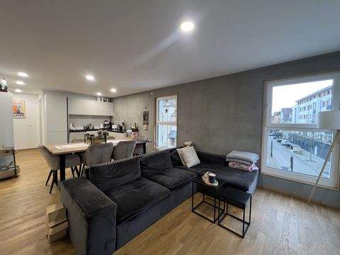 Singen Wohnungen, Singen Wohnung mieten