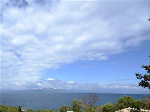 Ionische Inseln Bauernhöfe, Landwirtschaft, Ionische Inseln Forstwirtschaft