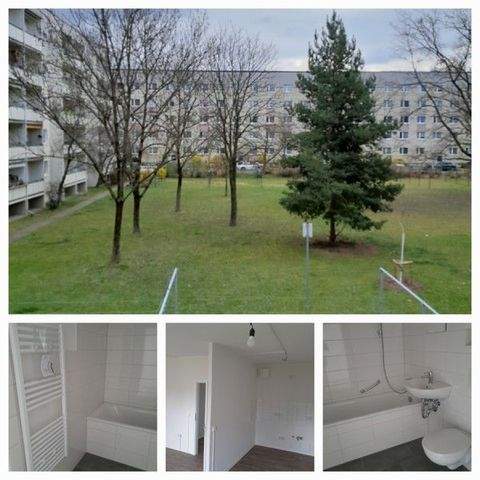 Dresden Wohnungen, Dresden Wohnung mieten