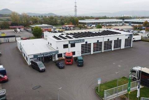 Wittlich Halle, Wittlich Hallenfläche