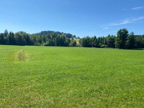 Amerang Bauernhöfe, Landwirtschaft, Amerang Forstwirtschaft