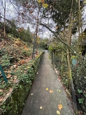 13 Außenanlage