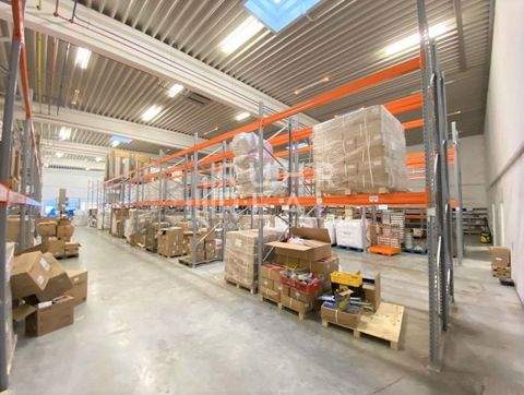 Mönchengladbach Halle, Mönchengladbach Hallenfläche