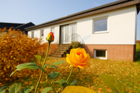 Groß-Gerau Häuser, Groß-Gerau Haus kaufen